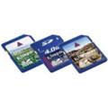 Pam. karta - KINGSTON 4 GB SDHC Class 4