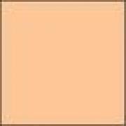 Lee Filters - Coral 8 standardní 100x100 2mm