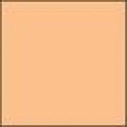 Lee Filters - Coral 9 standardní 100x100 2mm