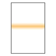 Lee Filters - Coral proužek 100x150 2mm