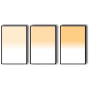 Lee Filters - Coral set 100x150 2mm