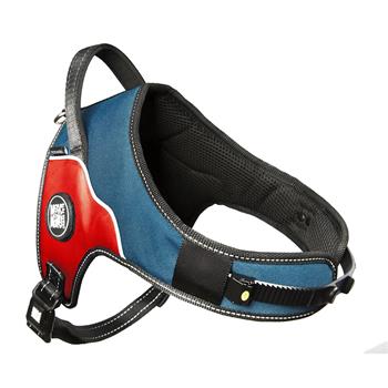 Max & Molly Matrix Power Postroj pro silné psy, červený, Velikost L