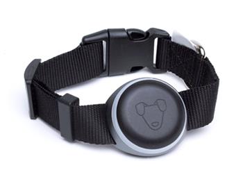 Mishiko Premium GPS a fitness obojek, černý