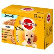 PEDIGREE kapsička  Junior mixovaný výběr v želé 12pack 1200g