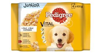 PEDIGREE kapsička Junior s kuřecím v želé 4pack 400g