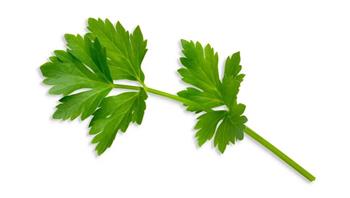 Plantui Libeček lékařský, 3 kapsle