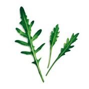 Plantui Rukola (roketa) divoká 3, kapsle