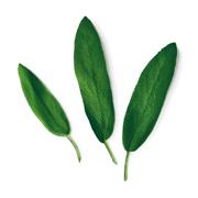 Plantui Šalvěj lékařská, 3 kapsle